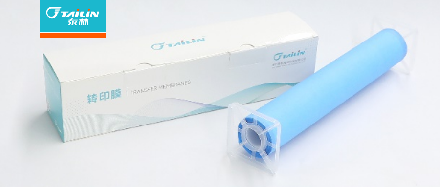泰林 Immutailin™ PVDF转印膜新品上市