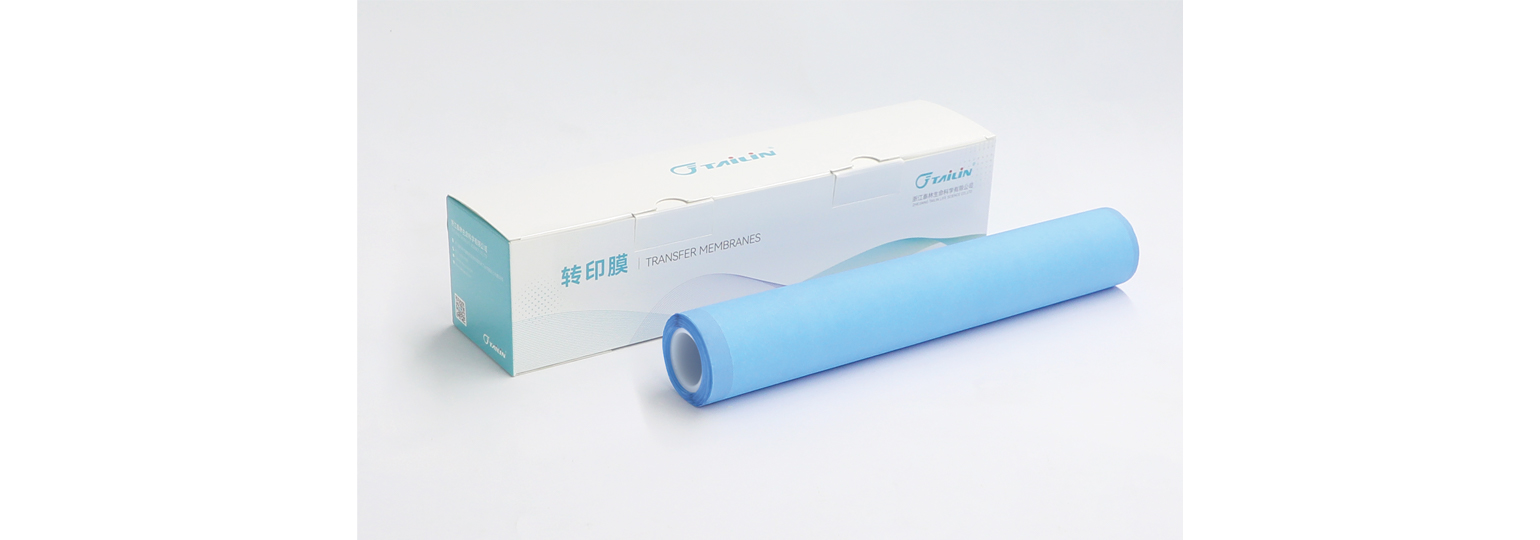 PVDF转印膜